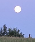 überaschende Ansicht von etwas Alltäglichem